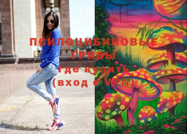 дурь Волоколамск